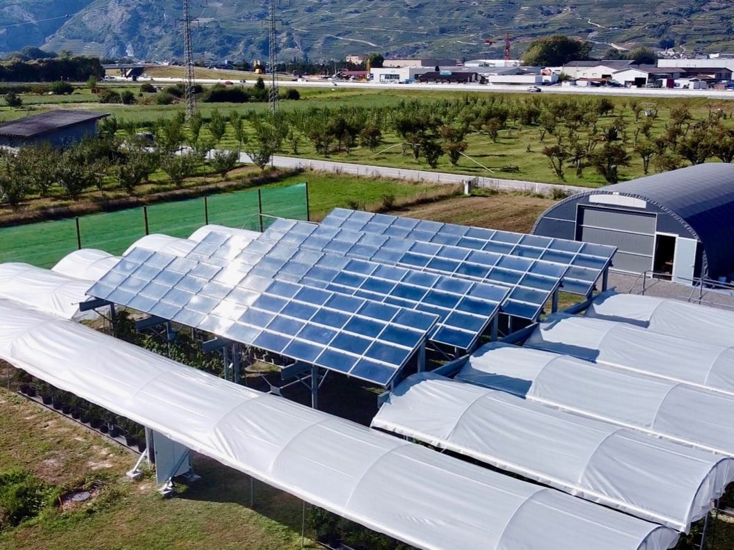 L agrivoltaïsme émerge en Suisse Agriculture Durable