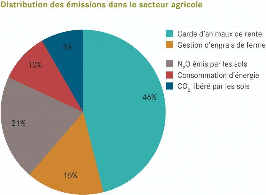 Répartition des émissions de gaz à effet de serre dans le secteur agricole en Suisse (OFEV, 2019)
