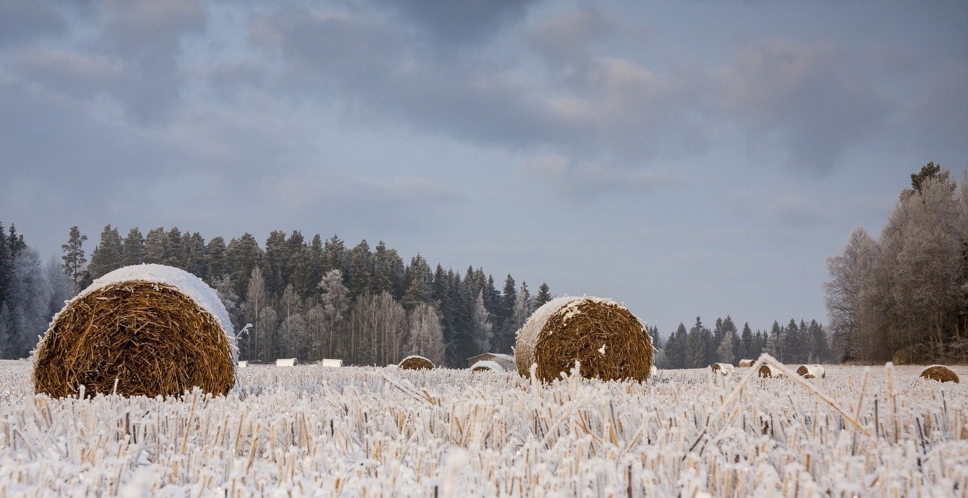L'agriculture suisse en hiver - Agriculture Durable